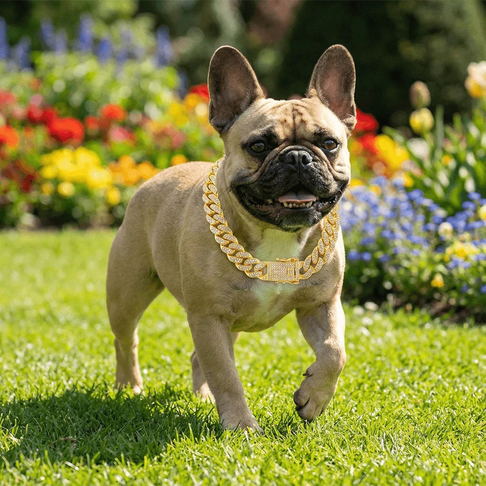Luxury Hip Hop Dog Collar