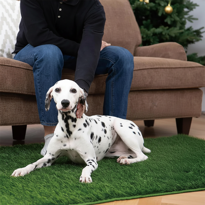 Reusable Dog Grass Toilet Mat