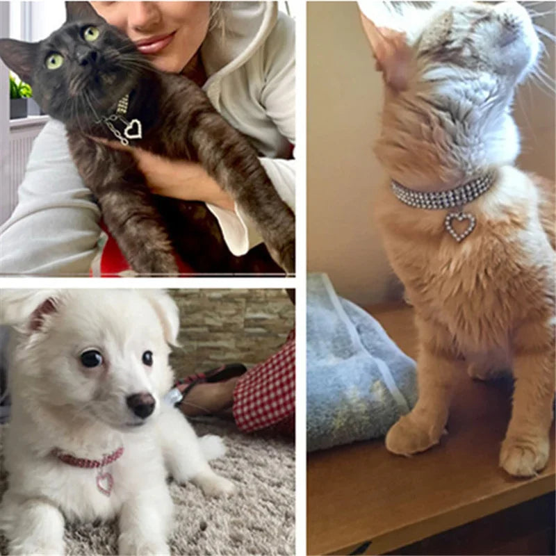 Luxury Rhinestone Pet Collar