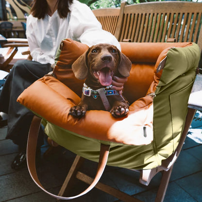 Luxury Pet Outing Car Bed