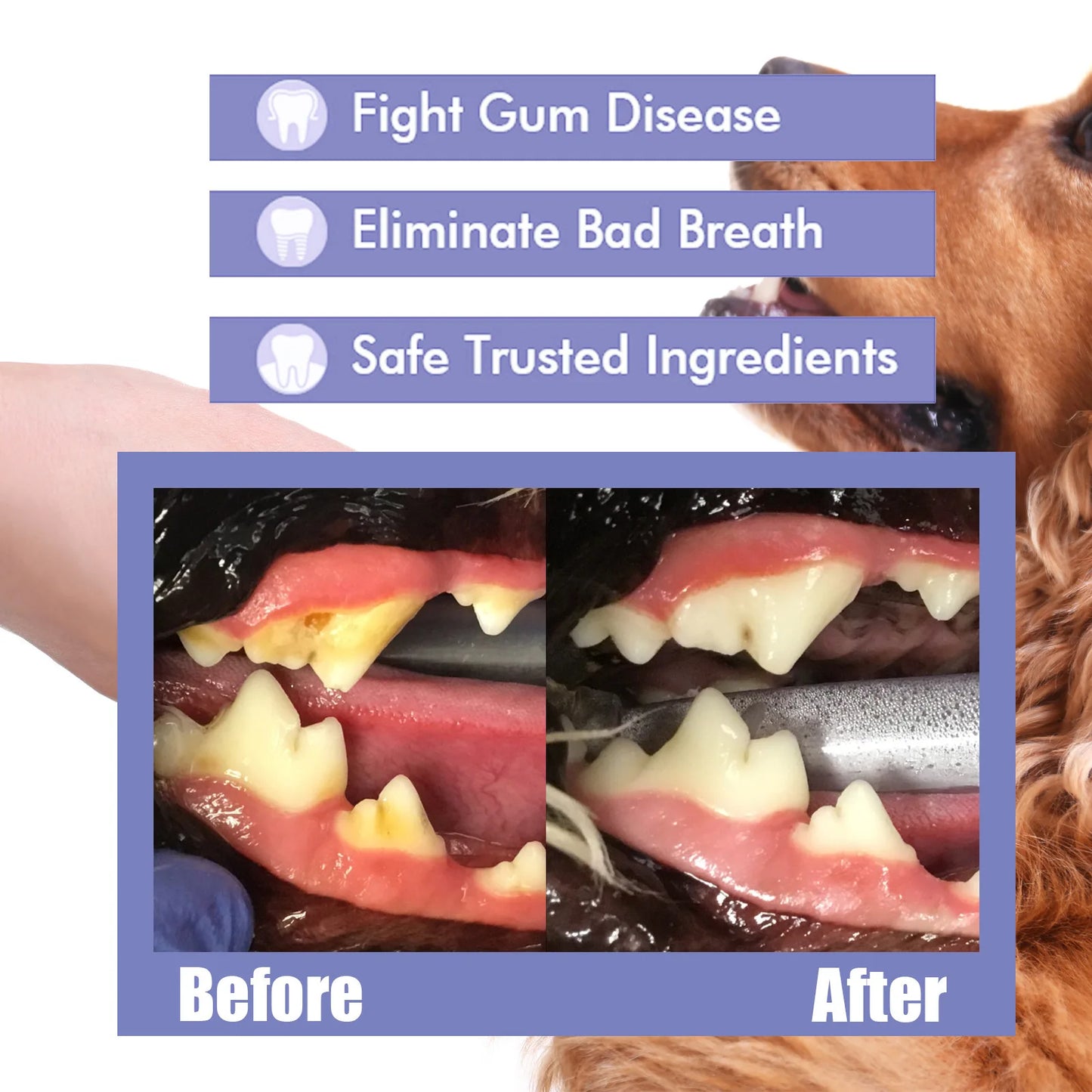 Pet Oral Care Fresh Spray