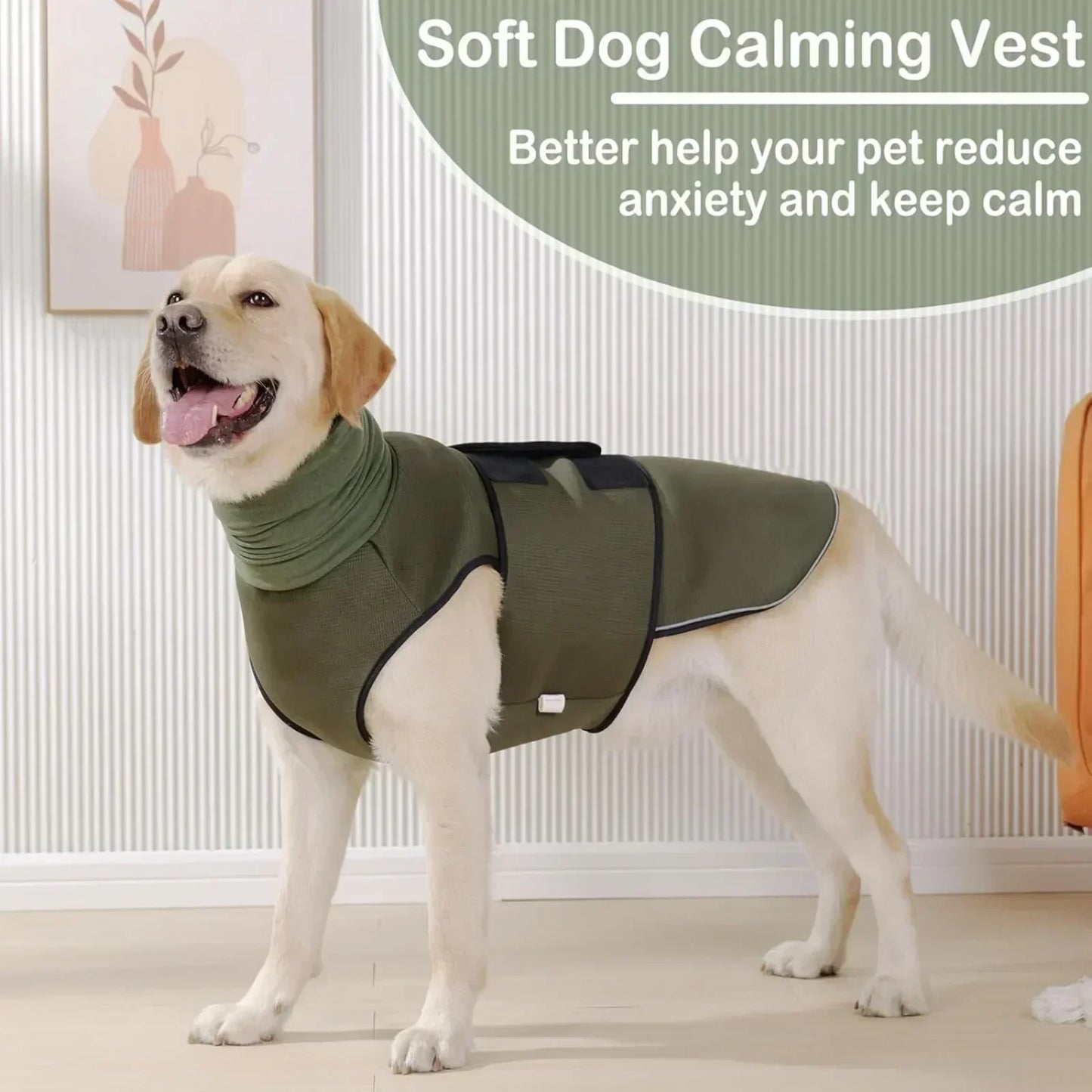 Anti Anxiety Dog Hoodie