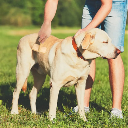 Bamboo Pet Slicker Brush