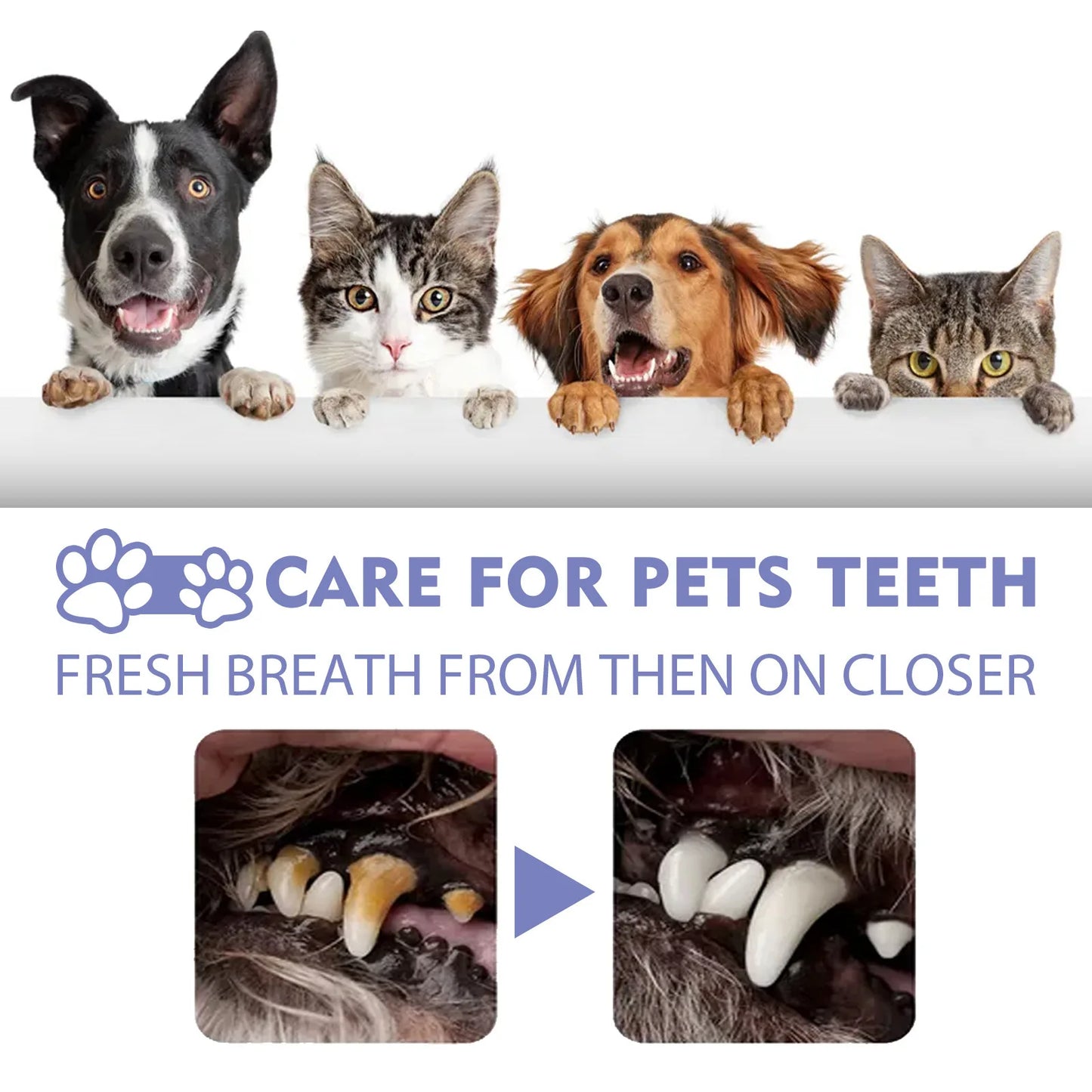 Pet Oral Care Fresh Spray